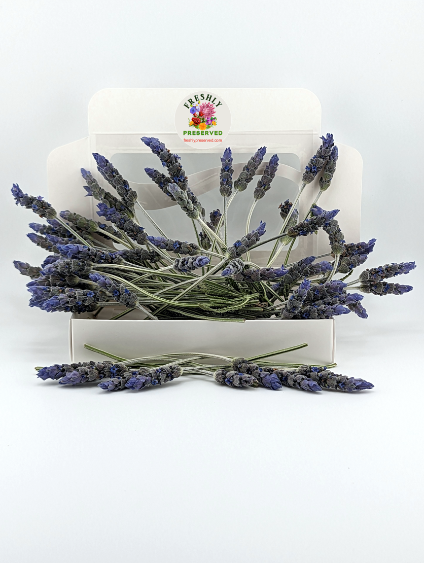 Freezedried Edible Lavender Flowers Keeping it BOUGIE!